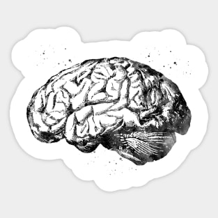 Human Brain Sticker